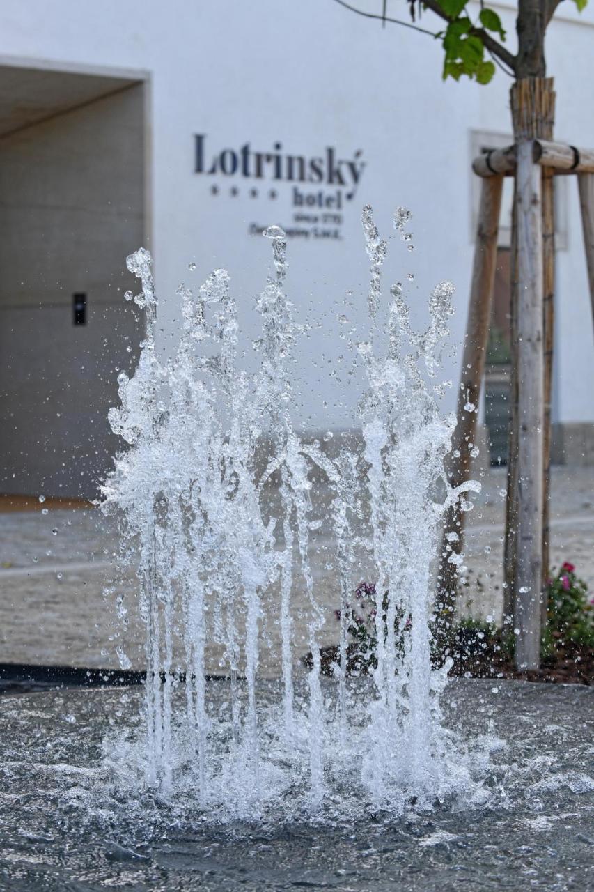 Lotrinsky Hotel Вельке-Павловице Экстерьер фото
